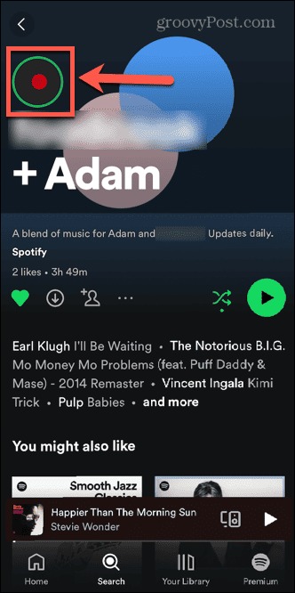 ikona spotify priče