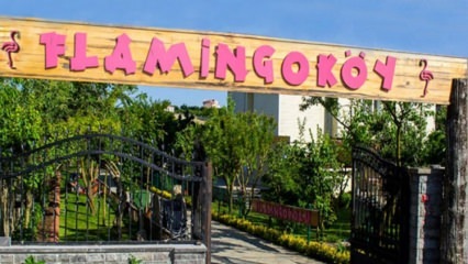 Gdje se nalazi Flamingo Village? Kako ići? Koliko košta cijena doručka?