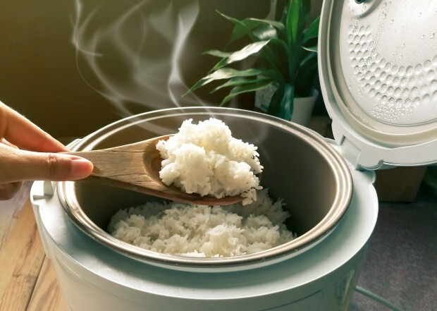 Koje su karakteristike balz riže