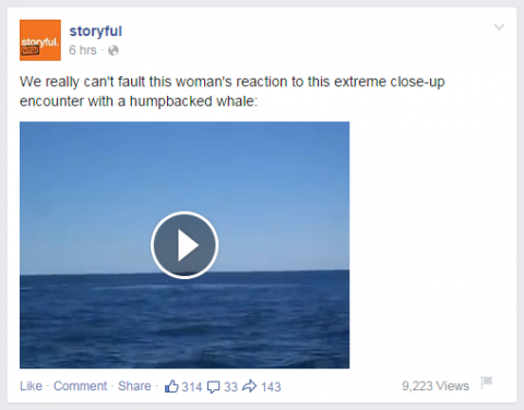 Videozapisi izravno preneseni na Facebook mogu se reproducirati u feedu vijesti. 