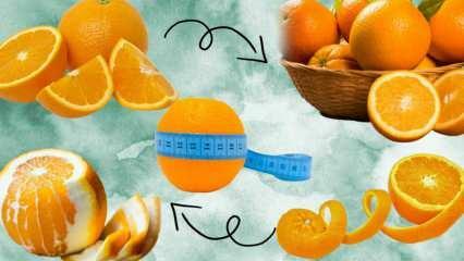 Koliko kalorija ima naranča? Koliko grama ima 1 srednja naranča? Debljate li se zbog jedenja naranče?