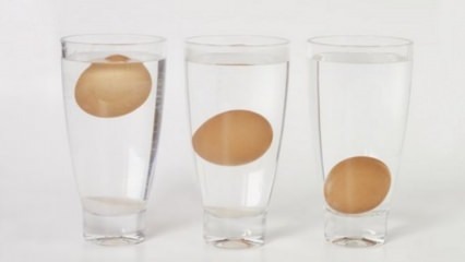 Kako razumjeti ustajala jaja?