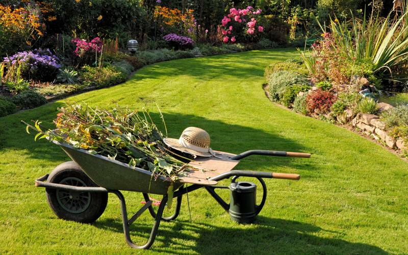 Kako se vrši čišćenje vrta? Prijedlozi za čišćenje vrta i narudžba!