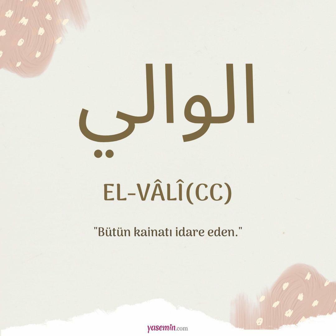 Što znači al-Vali (c.c)?