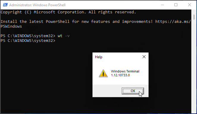 verzija Windows terminala