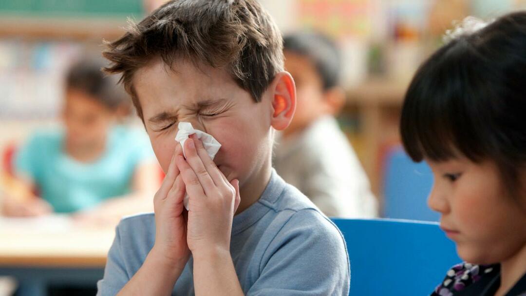 sezonska gripa