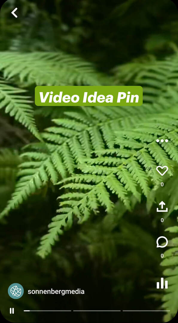 što-su-pinterest-idea-pins-sonnenbergmedia-video-pin-example-1