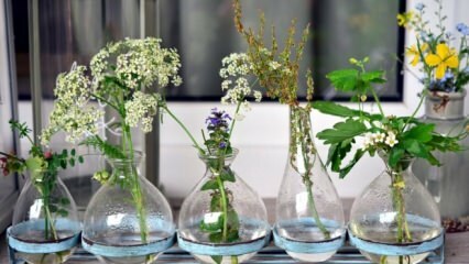 Što treba učiniti kako cvjetovi vaze ne bi izblijedjeli?