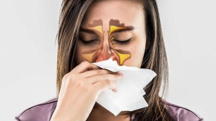 Što je alergija? Koji su simptomi alergijskog rinitisa? Koliko vrsta alergija postoji? 