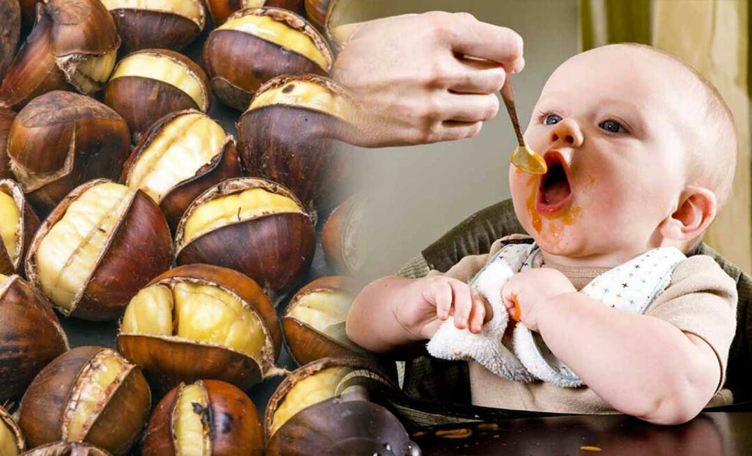 Smiju li bebe jesti kestene? Kako napraviti puding od kestena?