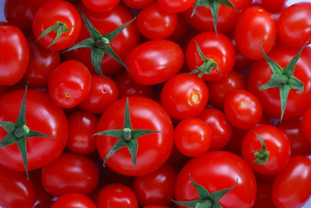 Kako odabrati menemenlik rajčice