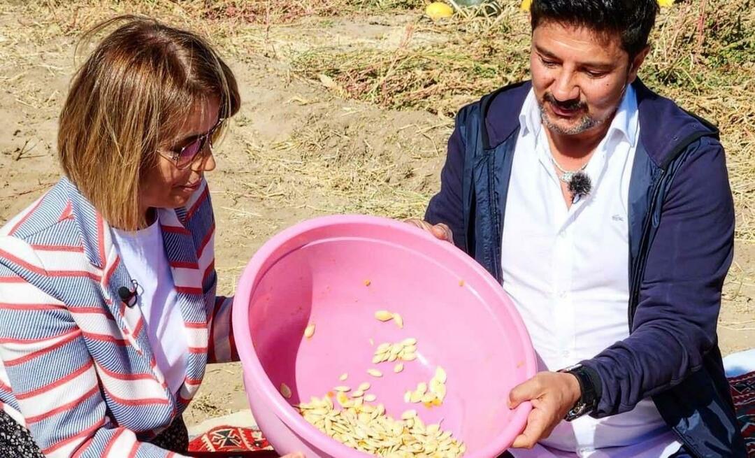 Sjemenke bundeve za grickalice brane su u Nevşehiru!