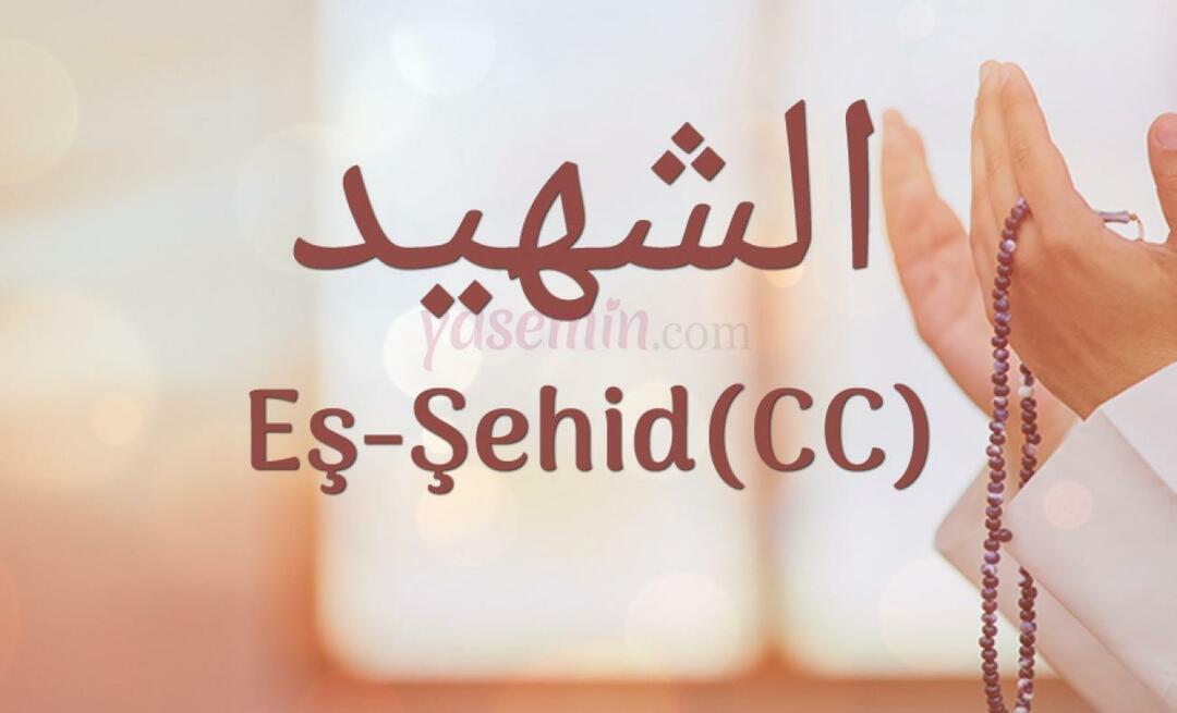 Što znači sumučenik (cc)? Gdje se u Kur'anu spominje ime eš-šehid?