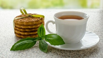 Koje su prednosti bosiljka? Kako napraviti čaj od bosiljka?