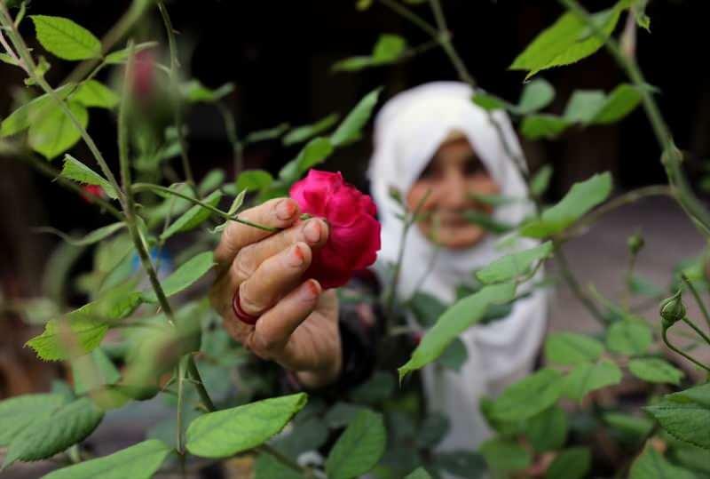 Baka Ayşe (83), koja je pobijedila Kovid-19, pravi džemove s mirisom ruže!