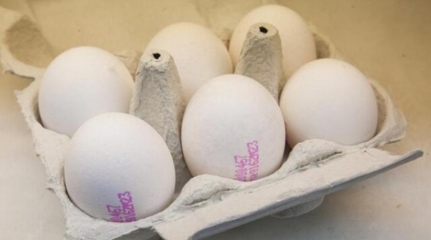 Kako razumjeti dobro jaje