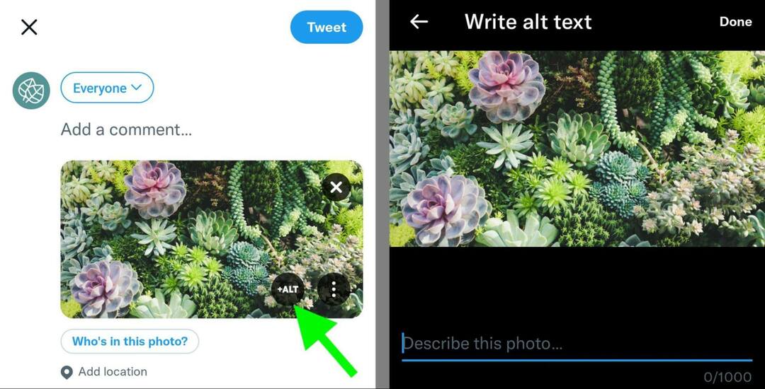 kako-optimizirati-social-media-images-search-twitter-alt-text-example-24