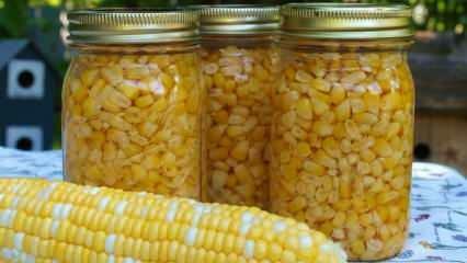 Kako se čuva kukuruz? Najlakši načini skladištenja kukuruza! Priprema ozimice kukuruza