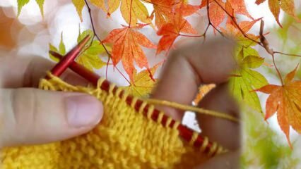 Kako najlakše tkanje listova šikarice učiniti najpraktičnijim?