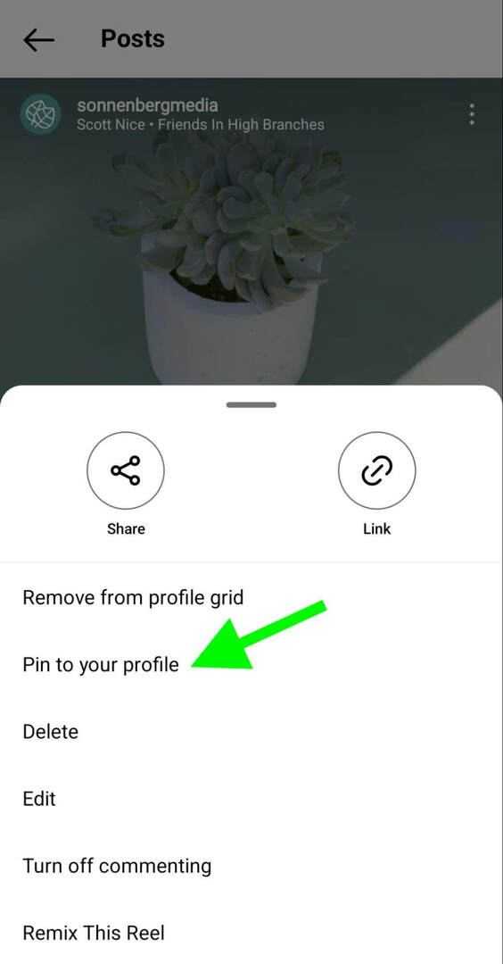 kako-instagram-pin-reels-profile-grid-sonnenbergmedia-step-1