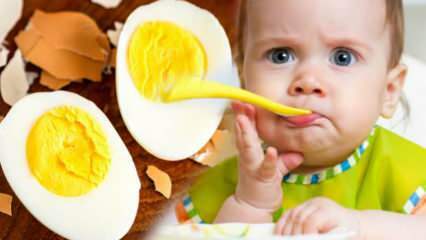 Kako žumanjke treba davati bebama? Koliko mjeseci pokrenuti jaje? Recept za jaja za bebe