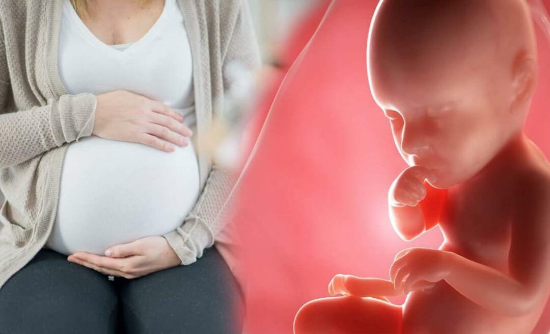 Kako bebe dobivaju hranjive tvari od majke tijekom trudnoće? Kako hraniti bebu u maternici od majke