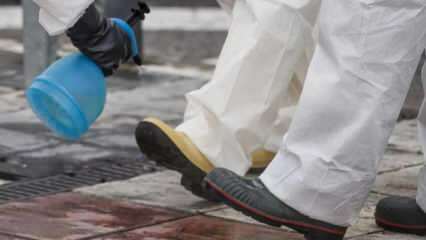 Kako napraviti punopravno čišćenje cipela? Kako se dno cipela dezinficira?