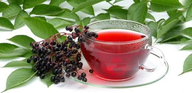 Čaj od borovnice pruža nevjerojatne koristi za imunološki sustav