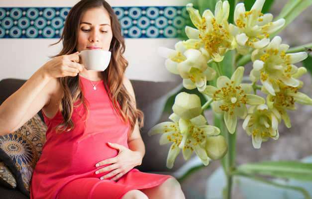 Prijedlog biljnog čaja tijekom trudnoće iz Saraçoğla! Je li štetno da trudnice piju biljni čaj?