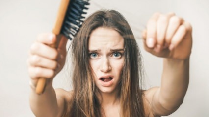 Koje su namirnice koje sprečavaju gubitak kose?