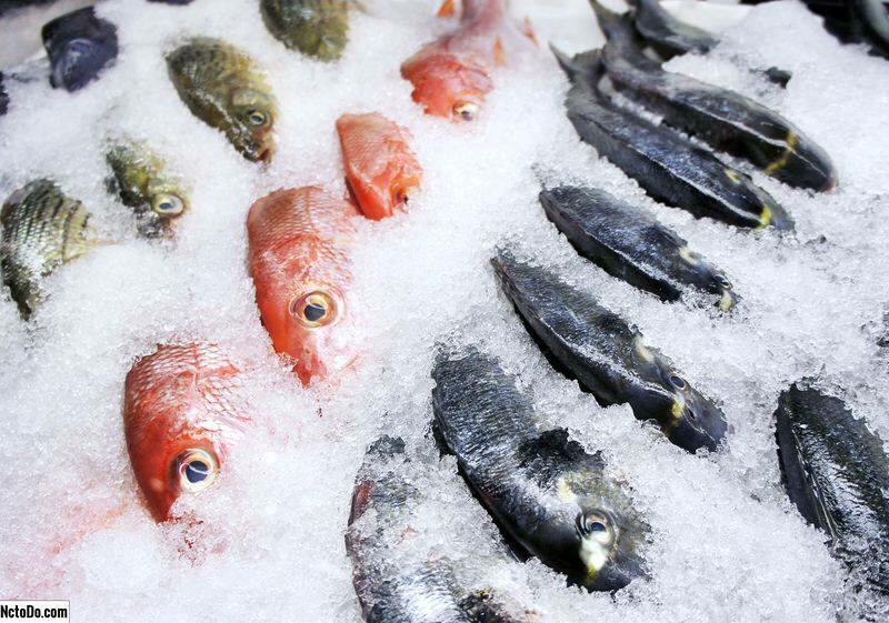 Kako se čuva riba? Koji su savjeti za držanje ribe u zamrzivaču?