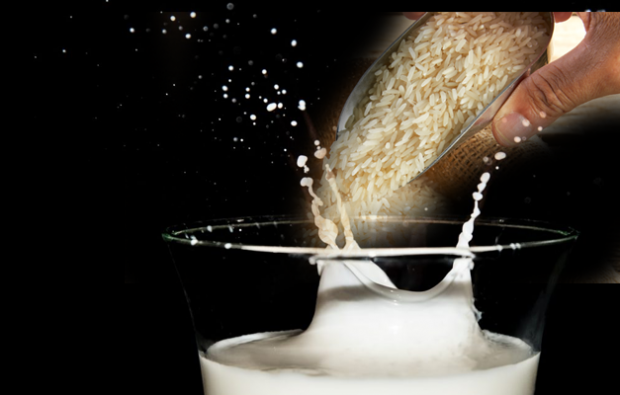 Koje su prednosti rižinog mlijeka?