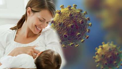 Prelazi li koronavirus s mlijeka na dijete? Pažnja budućim majkama tijekom procesa pandemije! 