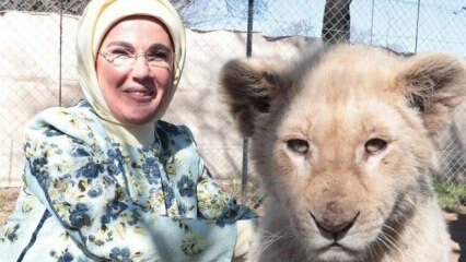 Prva dama Erdoğan fotografirala se s dječjim lavovima