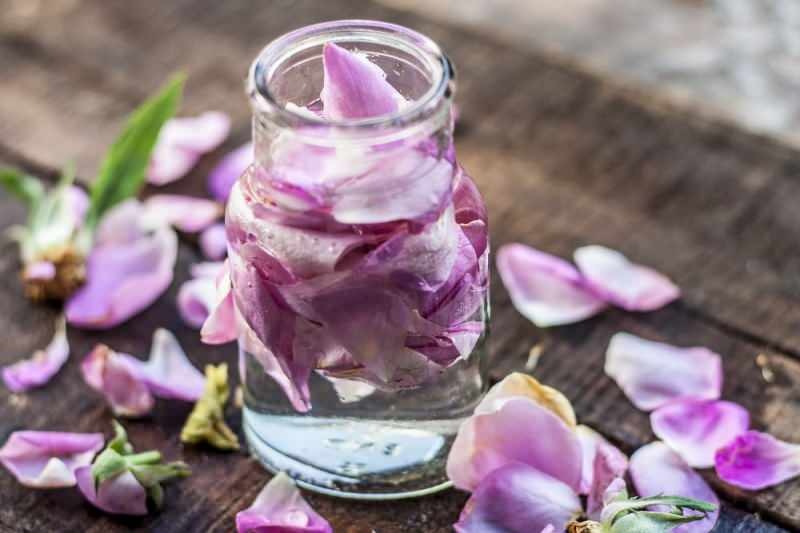 Kako napraviti ružinu vodu kod kuće? Jednostavna metoda pravljenja ruže vode ...