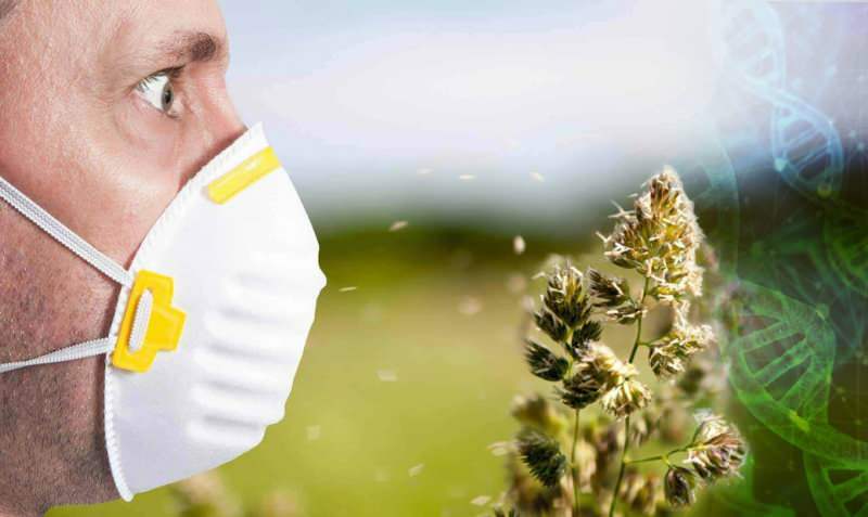 povećana alergija na pelud