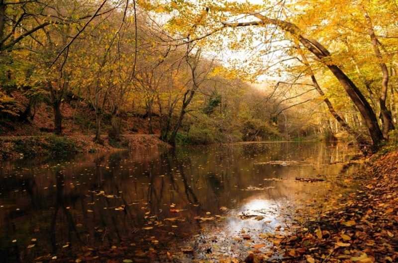 Jesenji pohod beogradskom šumom