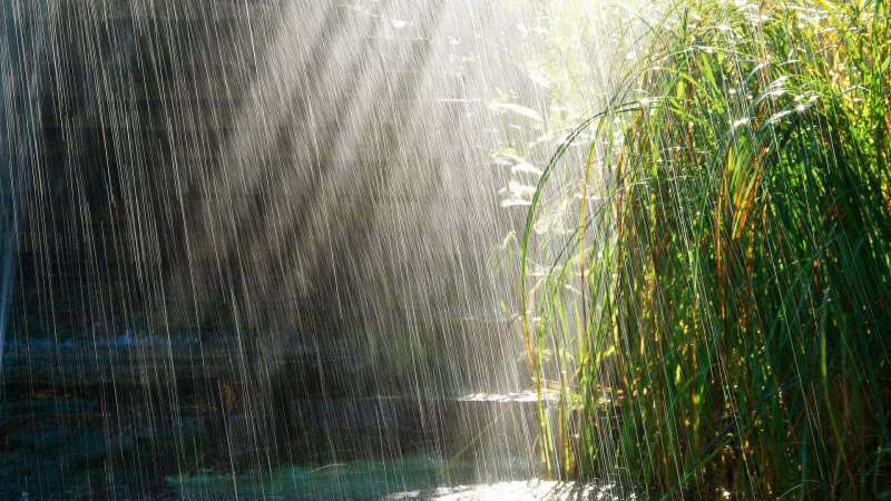 Molitve za čitanje kišnici! Liječi li travanjska kiša? Blagodati travanjske kiše