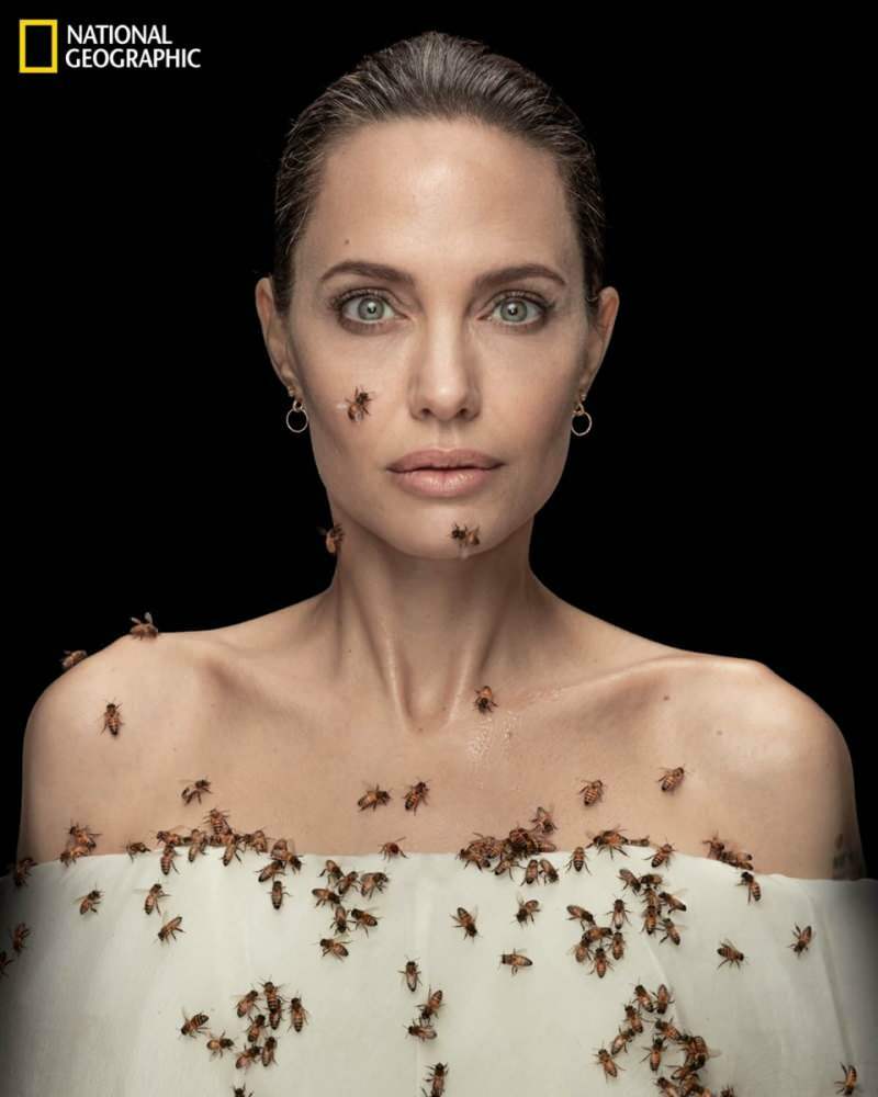Angelina Jolie u objektivu s pčelama za pčele!