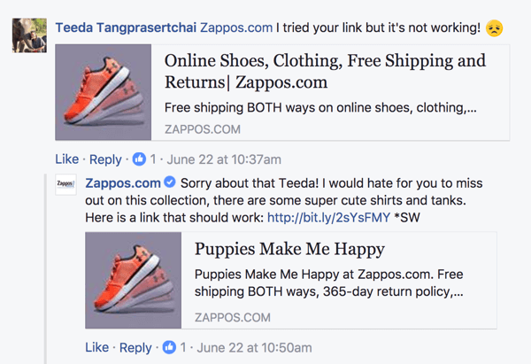 Zappos je poznat po kulturi korisničke usluge.