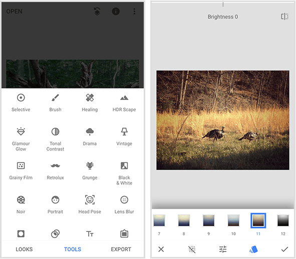 Snapseed izbornik slijeva prikazuje 20 različitih alata, a primjer Snapseed filtra desno prikazuje a fotografija dvaju divljih purana koji hodaju u zlatnoj travi i izbornik filtera na dnu zaslona mobitela.