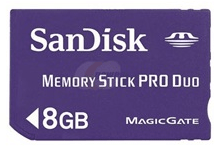 Dandisk memorijska kartica 8GB