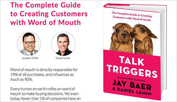 Ovo je snimka zaslona web stranice Talk Triggers. S lijeve strane nalazi se tekst o knjizi i fotografije Jaya Baera i Daniela Lemina. S desne strane nalazi se naslovnica knjige Talk Triggers.