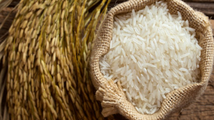 Kako se najbolje razumije riža? 