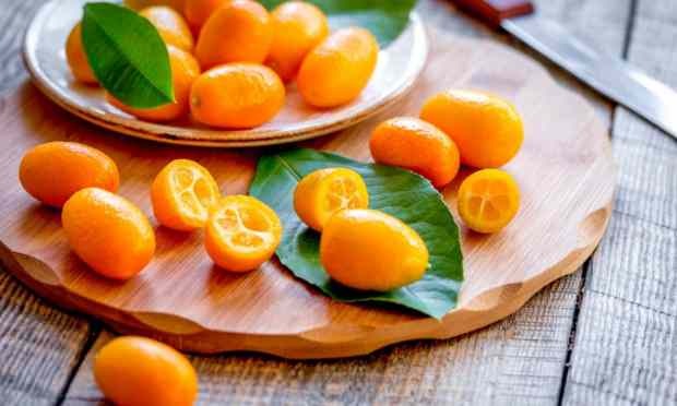 blagodati kumquat