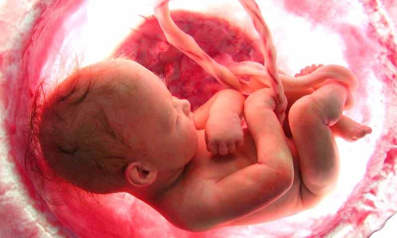 Rođenje djeteta u maternici