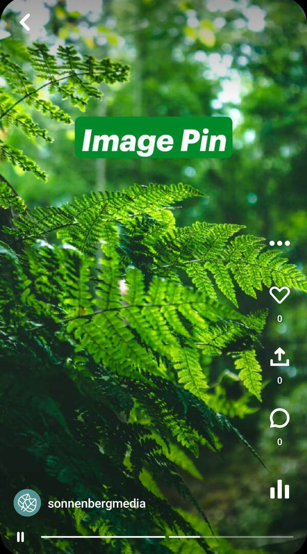 što-su-pinterest-idea-pins-sonnenbergmedia-image-pin-example-2