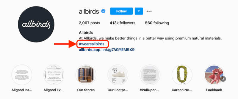 primjer hashtaga tvrtke uključenog u opis profila profila @allbirds instagram
