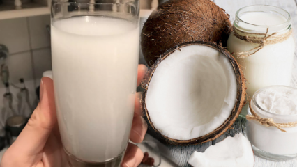 Što radi kokosova voda? Koje su prednosti kokosa?