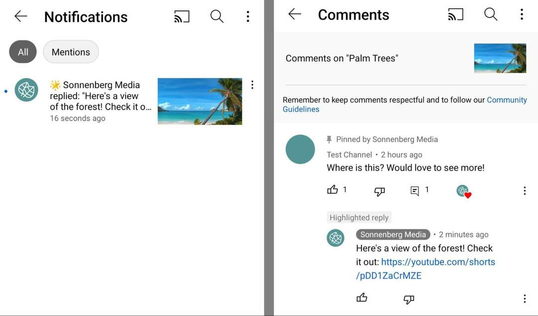 how-use-youtube-shorts-commenting-feature-to-tag-and-mention-commenters-copy-url-for-short-and-share-in-comment-on-original-video-sonnenbergmedia-example-15